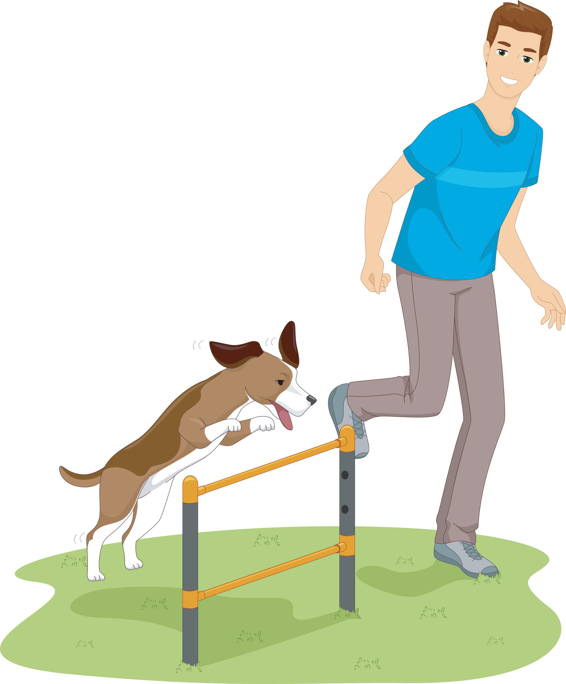 how to properly implement gentle dog training techniques